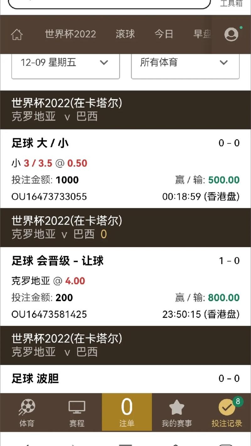 世界杯下注平台安全与隐私保护